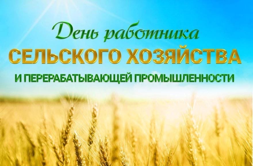 BGzMIaVqYHU.jpg